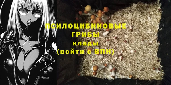 ешки Ростов